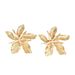 Unisex Personalized Flower Earrings For Women Niche Metal Five Petal Flower Double Layer Three Dimensional Design Earrings_ipsvogv.com
