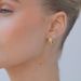 Women's Jewelry Diamond Pattern Hoop Earrings Light Luxury High End Design Sense Fashion Temperament Versatile Earrings Ear Jewelry_ipsvogv.com