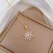 Steel 【 Titanium 】 Pearl Flower Zircon Light Luxury Temperament Gorgeous Full Diamond Necklace Women's Versatile 【 】_ipsvogv.com