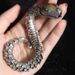 S Silver Handmade Woven Bracelet For Men High-end Niche Design Sense Personality Medusa Rattlesnake Hip-hop Dominant_ipsvogv.com
