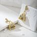Designer's New Versatile Fashion Bag Boutique Internet Celebrity Swinging Street Silver Needle Earrings_ipsvogv.com
