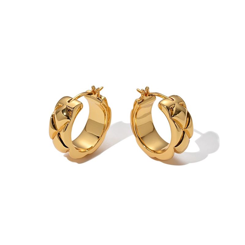 Women's Jewelry Diamond Texture Earrings Light Luxury High End Design Temperament Fashion Ear Buckles Versatile Ear Studs Earrings_ipsvogv.com