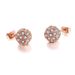 Unisex popular jewelry Rose gold electroplated micro inlaid zircon ball earrings Popular women's earrings_ipsvogv.com