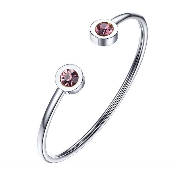 Women's Jewelry Stainless Steel 12 Birthstone Bracelet January To December Birthday Gift_ipsvogv.com