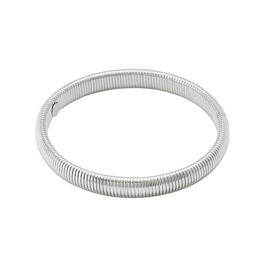 Wemen's Jewelry Bracelet Stainless Steel Collar Earrings Jewelry Set Hot Sale Goose Throat Belt Series_ipsvogv.com