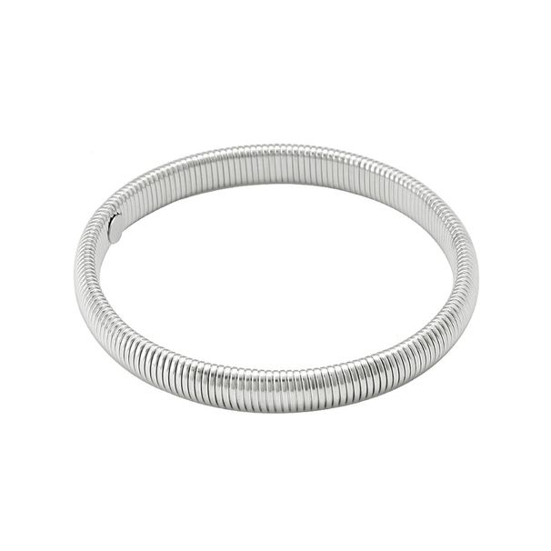 Wemen's Jewelry Bracelet Stainless Steel Collar Earrings Jewelry Set Hot Sale Goose Throat Belt Series_ipsvogv.com