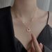 S Sterg Sier Necklace For Women Light 2024 New Style Trendy Niche High End Design Pendant Clavicle Chain Jewelry_ipsvogv.com