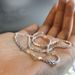 Jewelry Hot Sale Sparkling Caterpillar Women's Silver Necklace Women's Basic Chain Clavicle Chain_ipsvogv.com