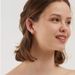 Women's Jewelry Inlaid Zircon U Shaped Earrings High End Design Temperament Fashion T Shaped Earrings Simple Earrings_ipsvogv.com