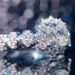 Cao Shi Ruili Magazine Floral Women's Ring New Floral Diamond Zircon Ring Fashion Women's Engagement Ring_ipsvogv.com