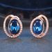 Unisex popular fashion earrings Rose gold plated blue stone hot selling jewelry_ipsvogv.com