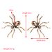 New Exaggerated Sparkling Diamond Metal Simulation Of Big Spiders, Trendy Earrings, Necklace, Temperament, Personalized_ipsvogv.com