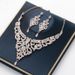 New Rose Gold Necklace Earrings Diamond Jewelry Wedding Dress Evening Gown Accessories Two-Piece Set_ipsvogv.com