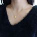 2023 New Titanium Steel Colorless Car Flower Clover Fashion Necklace Women's Trendy And Simple Jewelry Accessories_ipsvogv.com