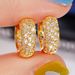 Cao Shi's Fashionable New INS Style With Hollow Out Design Vine Exquisite And Noble Lazy Earrings_ipsvogv.com
