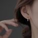 Pure Silver Sparkling Diamond Earrings 2024 New Light Luxury Fashion Niche Design Earrings_ipsvogv.com