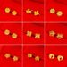 Ethnic Style Fashion Copper Plated Real Flower With Simple Rose Vietnamese Sand Gold Earrings For Women_ipsvogv.com