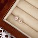 S999 Sterling Silver Star Earrings For Women Girlish Light Luxury Stud Earrings_ipsvogv.com