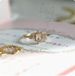 New Style Super Beautiful And Luxurious Light Cut Sri Lankan Moonstone Plated 14K Ring For Women As A Gift_ipsvogv.com