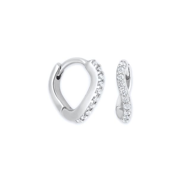 Women's Jewelry S925 Silver Needle High End Curved Earrings Inlaid With Zircon Personality Fashion Earrings_ipsvogv.com