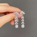 Cao Shi Long Tassel Zircon Earrings with Independent Packaging Water Drop Geometry Pear shaped Earrings Fashion Earrings_ipsvogv.com