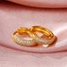 Cao Shi Trendy Earrings, Hip-hop Style, Men's And Circular Ear Buckles, Women's Full Set Zircon Earrings_ipsvogv.com