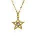 Zircon Star Necklace Color Retention Long Lasting Accessories Necklace Fashion Retro Niche Temperament Necklace Wholesale_ipsvogv.com