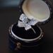 Summer Fragmented Ice Blue Butterfly Ring, Female Niche Design, Light Luxury, High Grade, Finger Ring 2024 New Edition_ipsvogv.com
