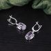 Noble Retro Crystal Earrings S925 Sterling Silver Inlaid With Colored Crystals 9 Carat Earrings For Women Popular_ipsvogv.com