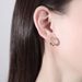 Women's Jewelry Gold Earrings Ins Copper Micro Inlaid Zircon Earrings Exquisite Small Design Niche Earrings_ipsvogv.com