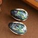 Fashionable Temperament, Colorful Natural Abalone Shell, Women's Light Luxury Fashion OL High-end Silver Needle_ipsvogv.com