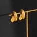 Unisex Spring And Summer INS Retro Gold Plated Titanium Steel Fine Polished Hollow Melon Seeds Gypsy Earrings_ipsvogv.com