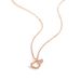 Titanium Steel Necklace Rose Gold Ginkgo White Fritillaria One Rich And Simple Leaf Micro Inlaid Collar Chain Jewelry_ipsvogv.com