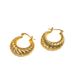 Small Design Ox Horn Wrap Metal Titanium Steel Earrings for Women's 2023 New Light Luxury Premium Feel Earrings_ipsvogv.com