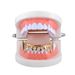 Unisex Hip Hop Teardrop Shaped Braces Smooth Sharp Brace Fashion Accessories Personalized Hip Hop Gold Braces_ipsvogv.com