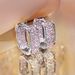 Cao Shi's Light Luxury Micro Inlaid Zircon Earrings, Popular Young Women's Fashion Earrings And Ornaments_ipsvogv.com