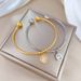 【 Full Body 】 INS Style Light Luxury Titanium Bracelet, Minimalist And Fashionable Stainless Steel Bracelet_ipsvogv.com