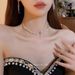 【 187 People Shipped Within 5 Hours 】 Zircon Choker Collar Bridal Necklace Light Luxury Niche High-end Banquet Wedding_ipsvogv.com