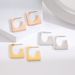 INS Personalized Simple Titanium Steel Earrings Cool Style Geometric Square Versatile Earrings Fashionable Style_ipsvogv.com