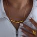 Plain Titanium Steel Gold Non Fading Versatile Necklace For Female Personality, Western Empress Dowager Choker_ipsvogv.com