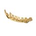 Unisex Hip Hop Braces 8 Teeth Micro Inlaid Zircon Single Row Gold Braces Hiphop Grillz Vampire Fangs_ipsvogv.com
