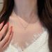 S Pure Silver Rose Zircon Necklace Women's Ins Exquisite Premium Sense Simple Versatile Temperament Clavicle Chain_ipsvogv.com