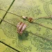 classic snake designer necklace women rose gold stainless steel white crystal diamond pendant nature sailormoon love_ipsvogv.com