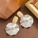 Fashionable Exaggerated Cold Style Pleated Circular For Women With A Sense Of Luxury, Simple Silver Needle Earrings_ipsvogv.com