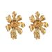 Metallic Niche High End Earrings Light Luxury New Earrings Starfish Shell Silver Needle Design Earrings_ipsvogv.com