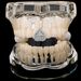 Unisex Jewelry Fashion single tooth personalized US dollar cross love braces hot style teeth grillz trendy men's accessoriesHIPHOP tooth_ipsvogv.com