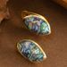 Hot Selling Fashionable Colorful Abalone Earri, Light Luxury Temperament, High-end Feeling, Shell Silver Needle_ipsvogv.com