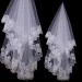 Hair Jewelry Women Bridal Short Wedding Veil White One Layer Lace Flower Edge Appliques_ipsvogv.com