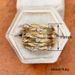 Cao Shi's Wrapped Vine For Women's Fashion Color Wide Edition Multi Accessories Star Zircon Bird's Nest Ring_ipsvogv.com