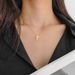 2023 New Titanium Steel Colorless Car Flower Clover Fashion Necklace Women's Trendy And Simple Jewelry Accessories_ipsvogv.com